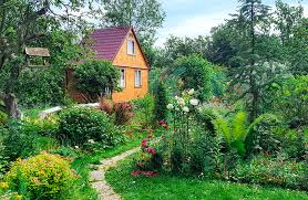 cottage dream garden