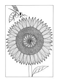 Having short hair doesn't mean you have to miss out on cute braided hairstyles. 7 Sunflower Coloring Pages For Adults Favecrafts Com