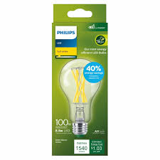 100 watt a21 light bulb