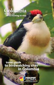 Resultado de imagen de Birdwatching Colombia