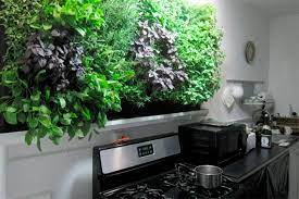 Herb Garden In Kitchen Herbs Indoors