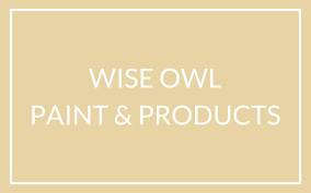 Wise Owl Paint The Salvaged Boutique