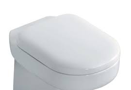 Ideal Standard Tempo Toilet Seat And