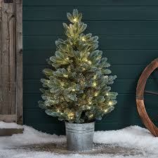 outdoor christmas trees for your garden