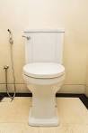 The Toilet Throne - Top Best Toilets of 20(Ratings)