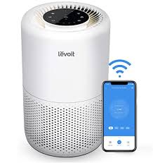 Best Mold Air Purifiers In 2022 For