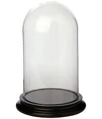 glass dome bell jars by i love retro
