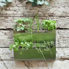 Herb Gardens For Small Kitchens And Gardens