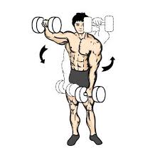 get bigger shoulders with weights