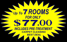 carpet cleaners up to 7 rooms