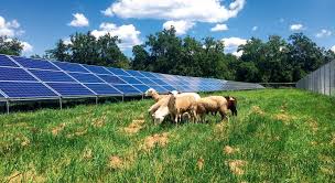 Solární panely nebo tepelná čerpadla chrání před růstem cen energie |  Týdeník pro ekonomiku, politiku a byznys