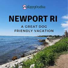 newport ri dog friendly things to do