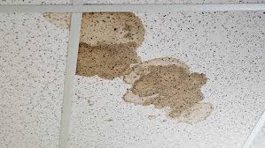 paint clean and replace ceiling tiles