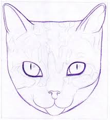 Jul 27, 2021 · 1. How To Draw A Cat Learn How To Create A Unique Colorful Cat Drawing Art Is Fun