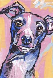 Italian Greyhound Art Print Dog Pop Art