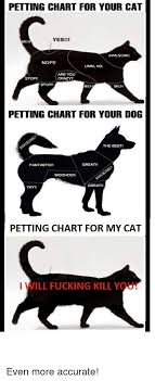Petting Chart For Your Cat Yes Awesome Nope Umm No Are