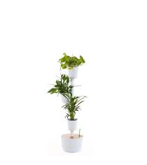 Self Watering Vertical Planter With