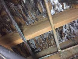 Healthy Spaces Mold Remediation