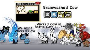 Brainwashed cow cat