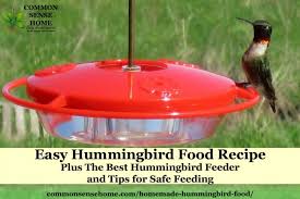 homemade hummingbird food recipe and
