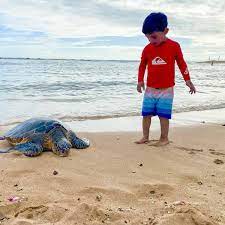 kauai with kids best places to play