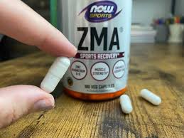 best zma supplements 2024 garage
