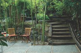 Backyard Design Creating Serenity