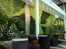 Air Cleaning Living Green Wall