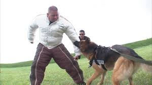 police k9 handlers put to the test in