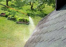remove moss and algae from my roof
