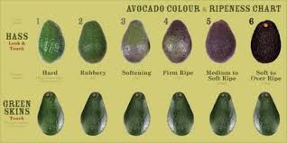 The Dos And Donts Of Ripening An Avocado Alberton Record