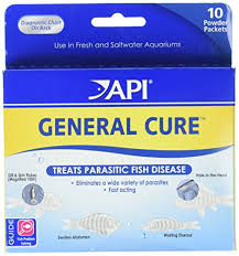 Api General Cure Freshwater And Saltwater Fish Powder Medication 10 Count Box