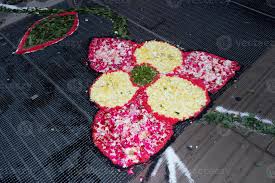 petal and flower carpet for corpus