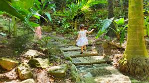 cairns botanical gardens oasis on the