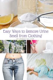 remove urine smell from clothing