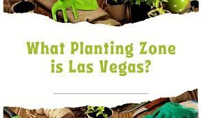 What Planting Zone Is Las Vegas
