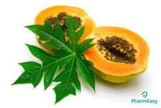 Papaya Leaves And Seeds To Treat Fever And Other Ailments ...