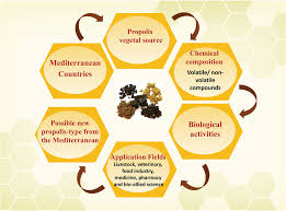 insight on propolis from terranean