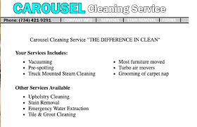 carousel cleaning service the glove