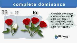 complete dominance definition and