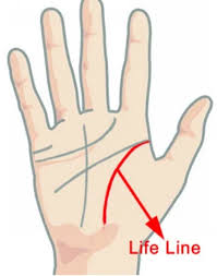 धन योग ,money line in palm or dhana rekha palmistry reading in hindi by senapati dattacharya ji. You Are Considered Lucky Parents If You Have These Lines On Your Palm Lifestyle News Asiaone