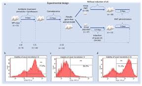 faecal microbiota transplantation