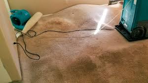 flood cleanup and carpet cleaning tips
