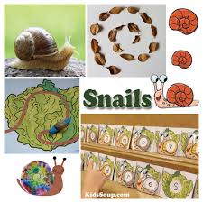 snails and worms pre activities