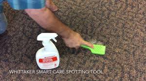 whittaker smart care spotting tool