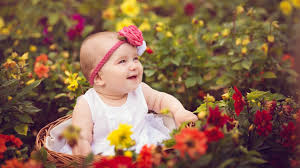 cute baby in basket free awesome image
