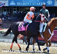 2014 Belmont Undercard Stakes Results