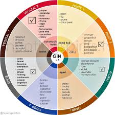 Gin Wheel In 2019 Gin Tasting Gin Gin Recipes