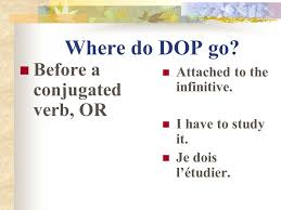 Direct Objects Who What Is Receiving The Action Ppt Download