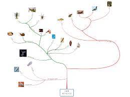 Vẽ sơ đồ cây phát sinh giới thực vật - Hoc24